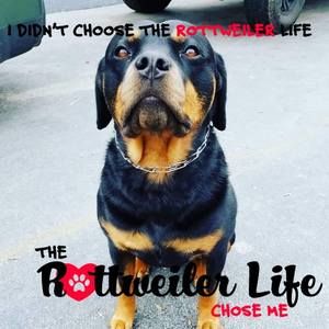 Meet your Posher, Toni